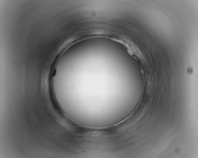 X0000102540482200808221932