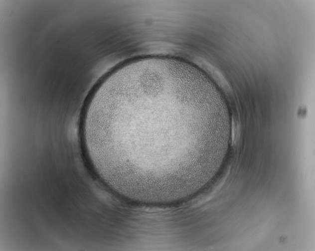 X0000102540483200808221932