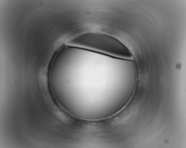 X0000102540485200808221932