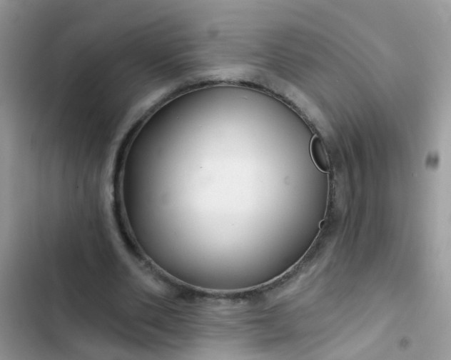 X0000102540486200808221932