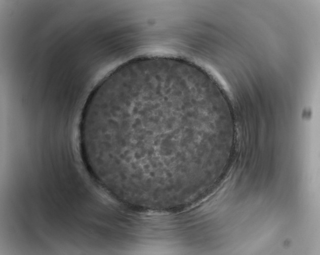 X0000102540487200808221932