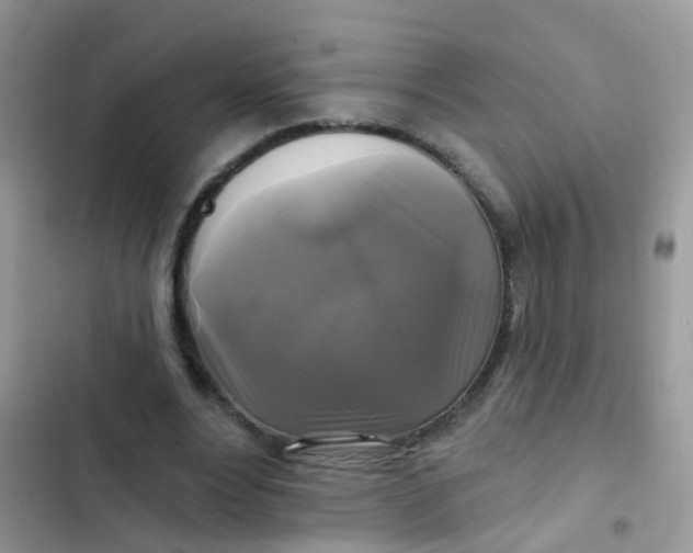 X0000102540488200808221932