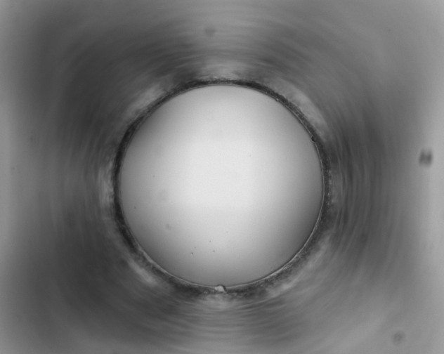 X0000102540489200808221932