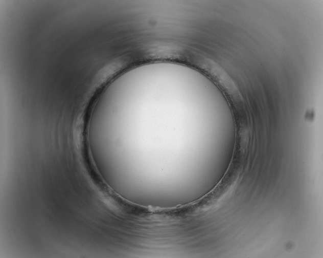 X0000102540490200808221932