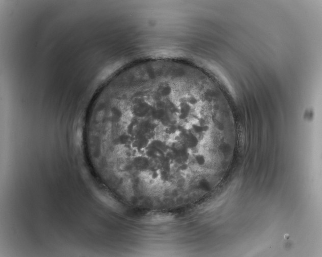X0000102540491200808221932