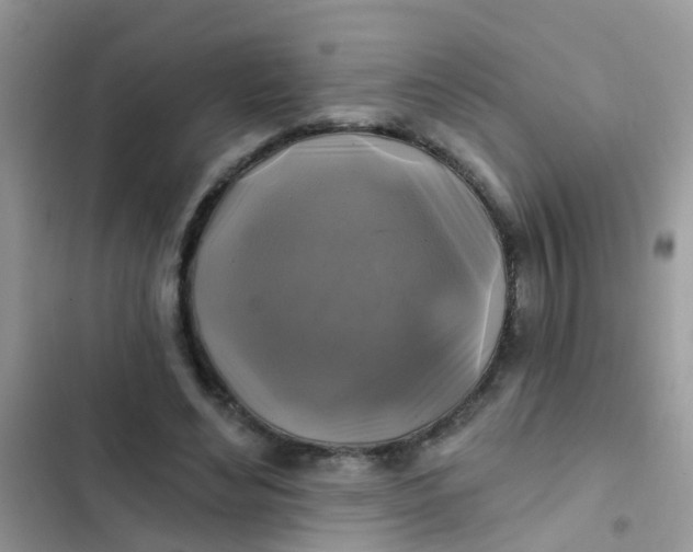 X0000102540492200808221932