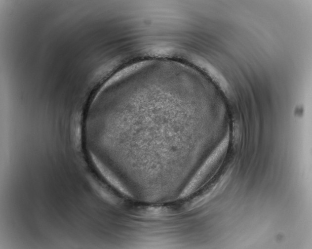 X0000102540493200808221932