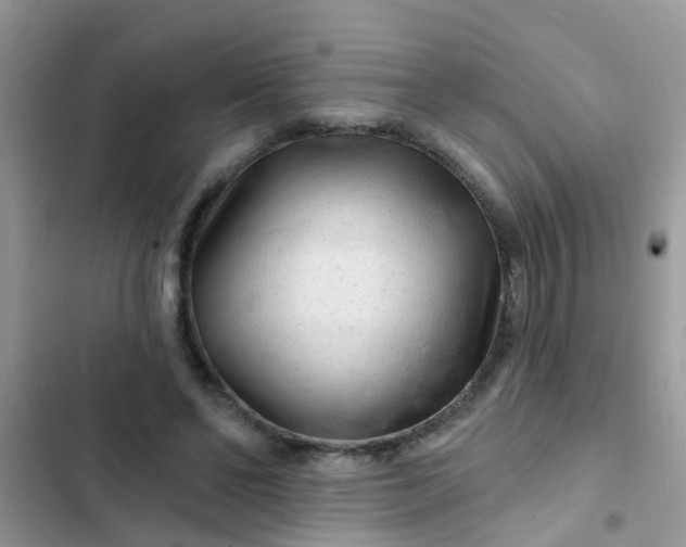 X0000102540494200808221932
