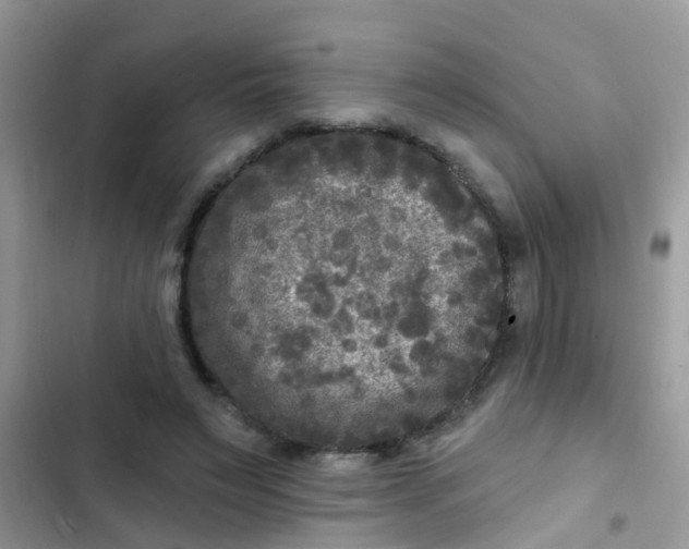 X0000102540495200808221932
