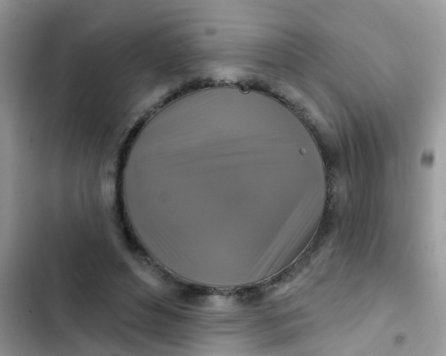 X0000102540496200808221932