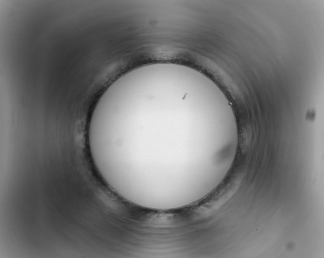 X0000102540497200808221932