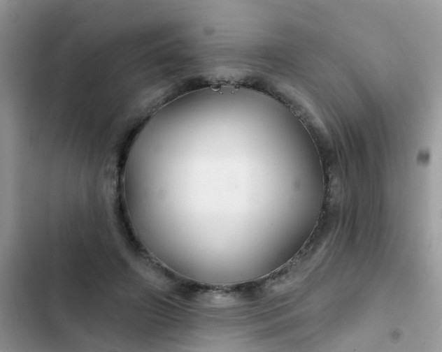 X0000102540498200808221932