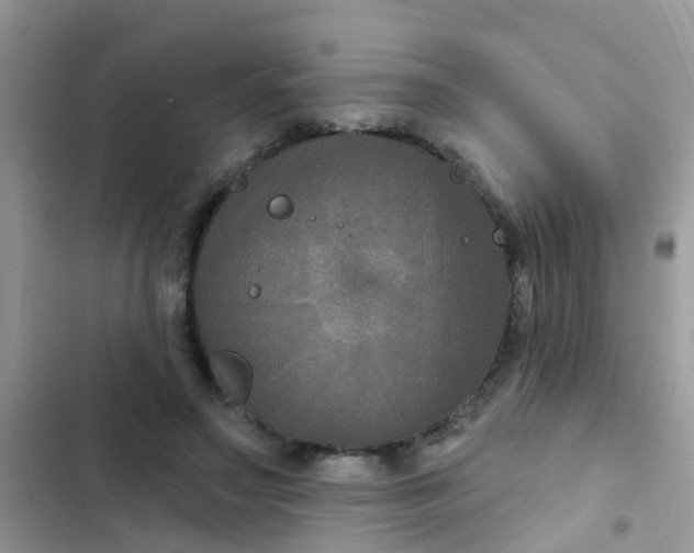 X0000102540499200808221932