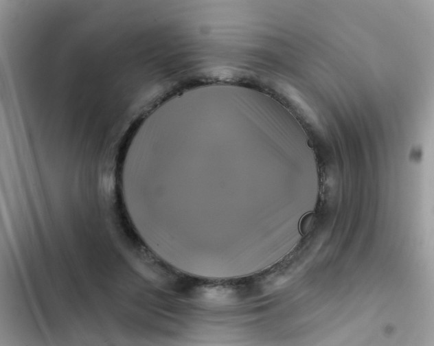 X0000102540500200808221932