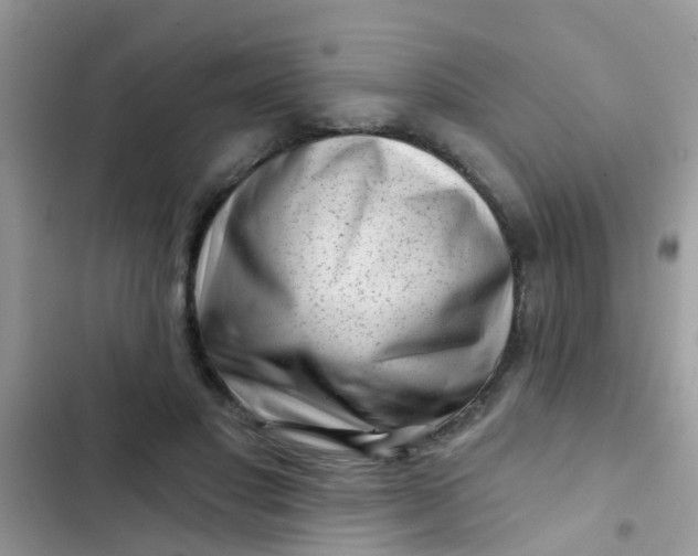 X0000102540501200808221932