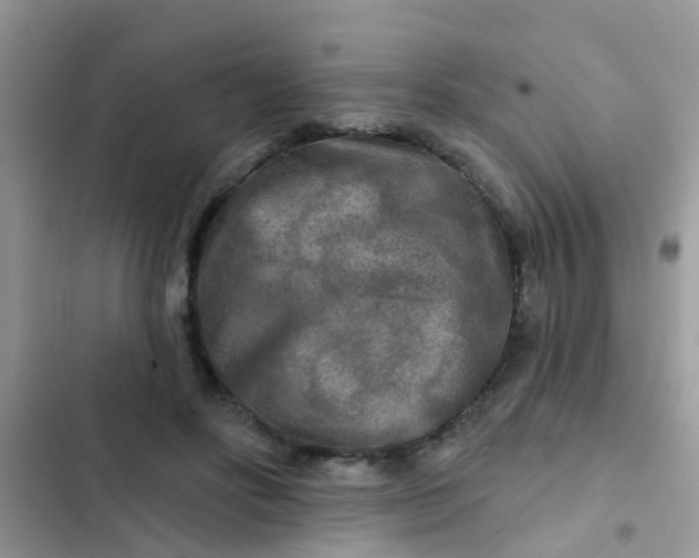 X0000102540502200808221932