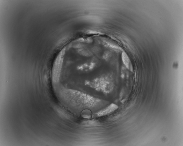 X0000102540503200808221932