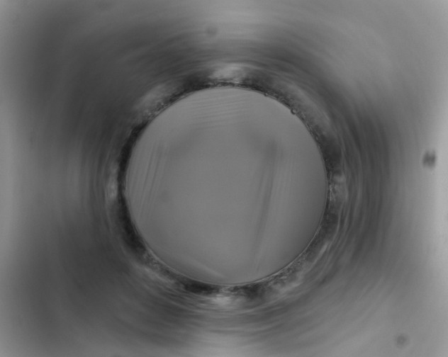 X0000102540504200808221932