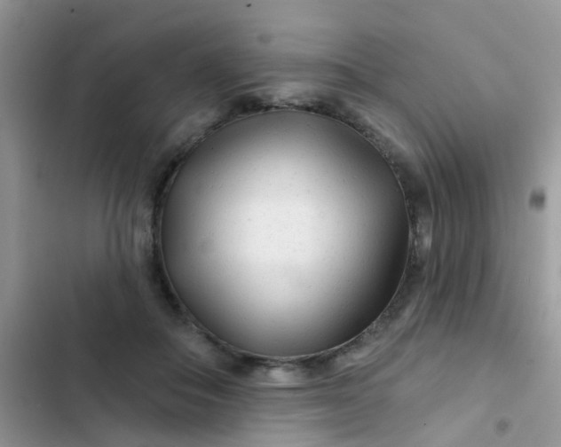 X0000102540506200808221932