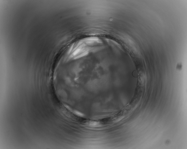 X0000102540507200808221932