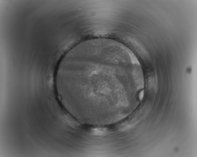 X0000102540508200808221932
