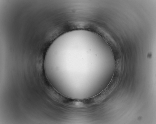 X0000102540509200808221932