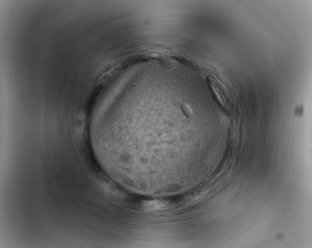 X0000102540511200808221932