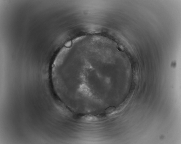 X0000102540512200808221932