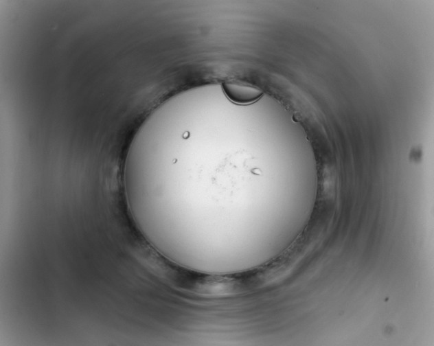X0000102540514200808221932