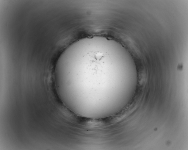 X0000102540515200808221932
