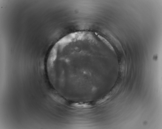 X0000102540516200808221932