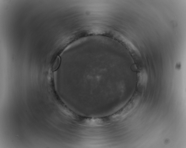 X0000102540517200808221932
