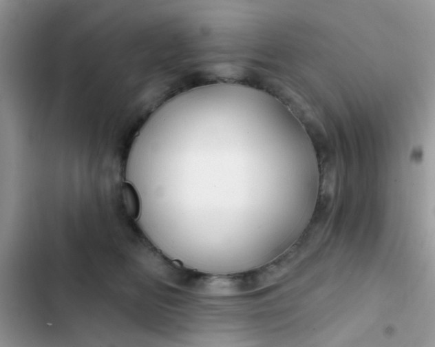 X0000102540518200808221932