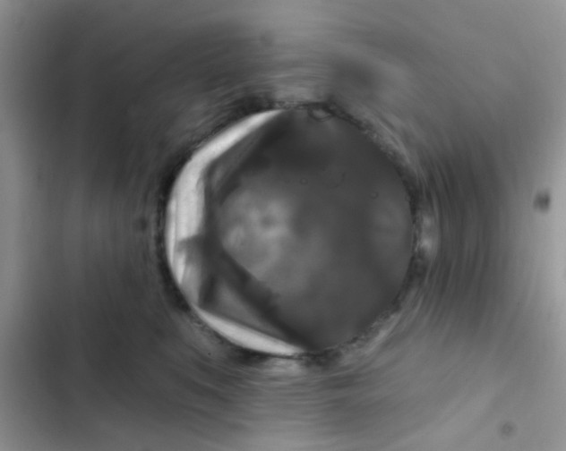 X0000102540519200808221932
