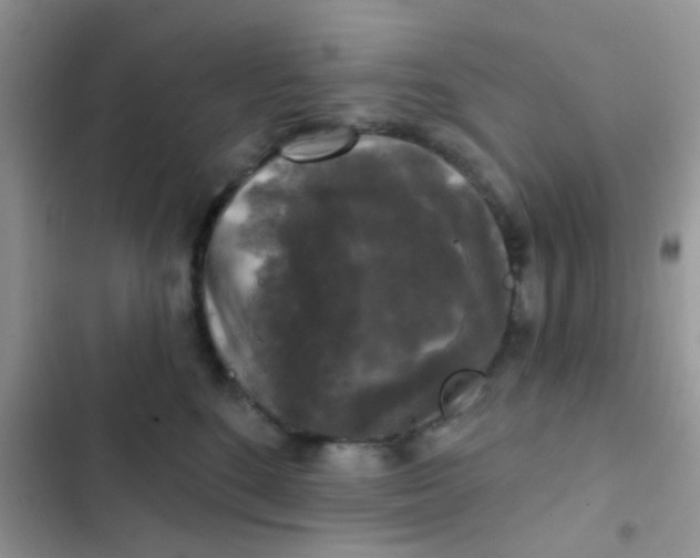 X0000102540520200808221932