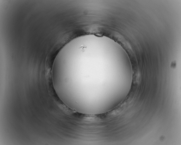 X0000102540521200808221932