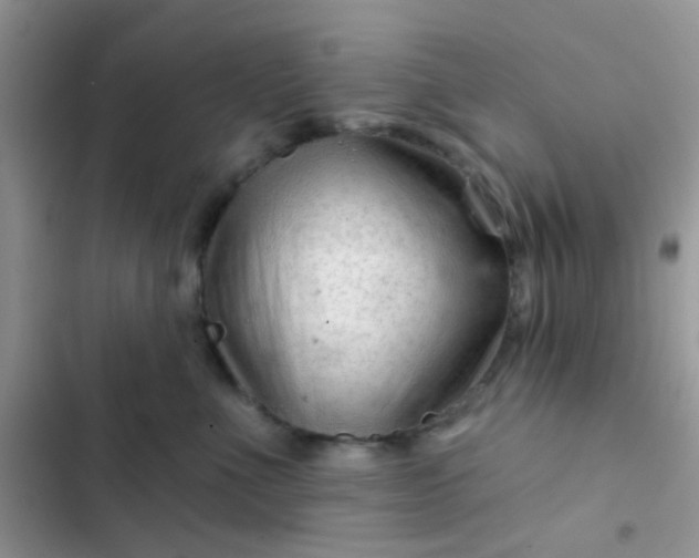 X0000102540523200808221932