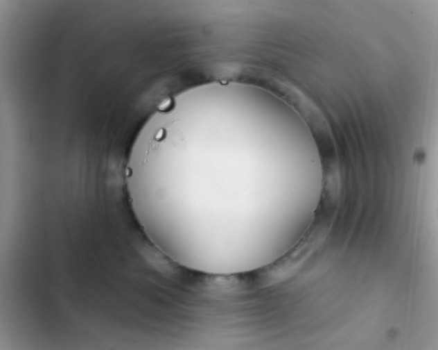 X0000102540525200808221932