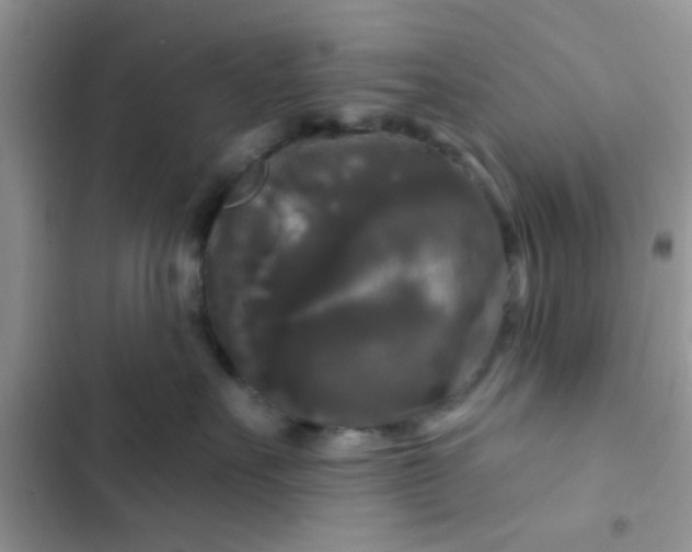 X0000102540527200808221932