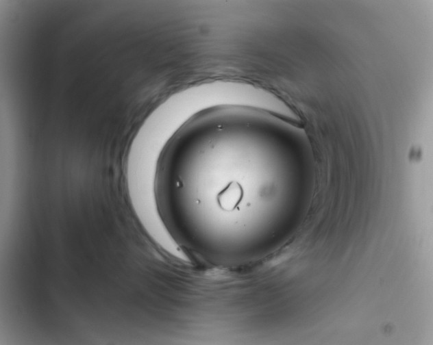 X0000102540528200808221932