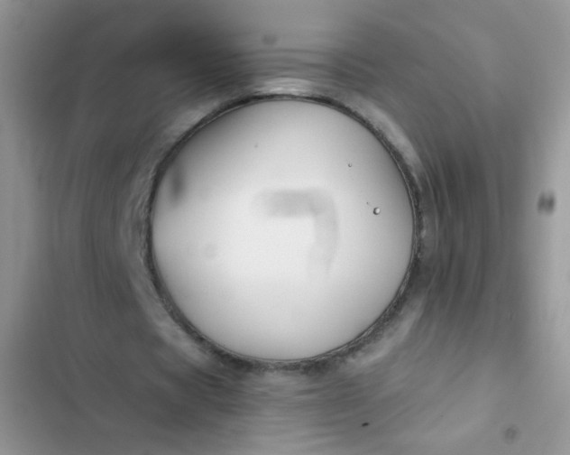 X0000102540529200808221931
