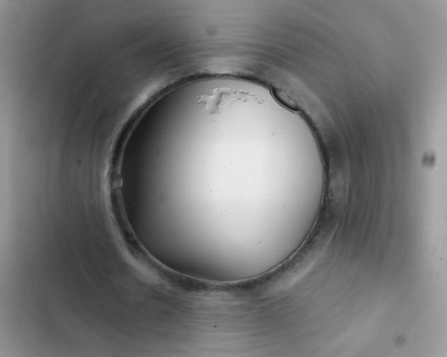 X0000102540530200808221931