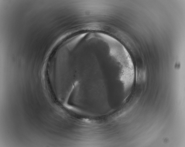X0000102540531200808221931