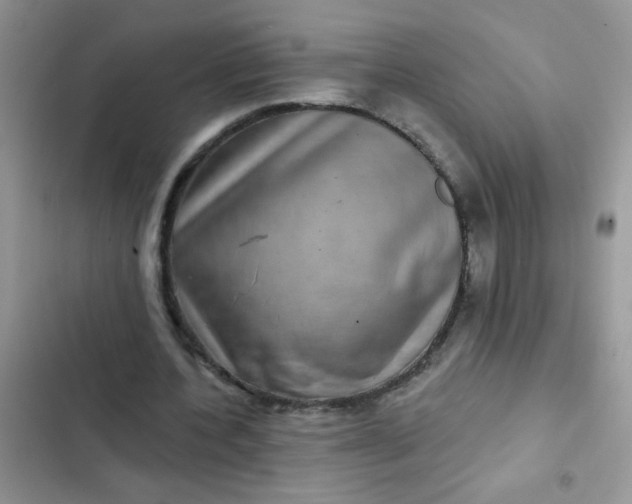 X0000102540532200808221931