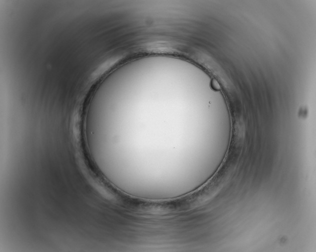 X0000102540533200808221931