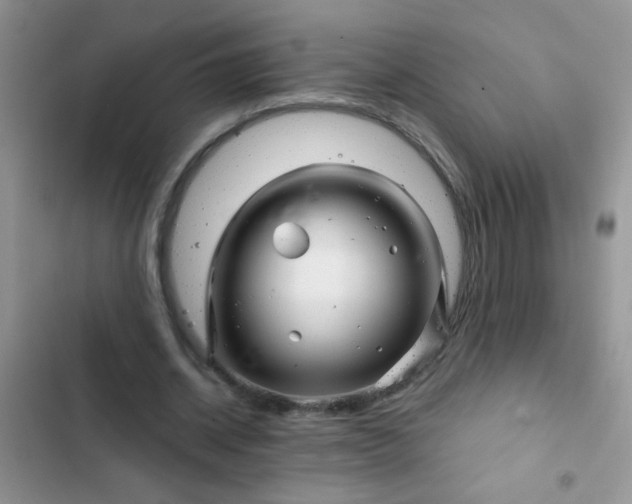 X0000102540534200808221931