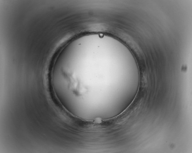 X0000102540535200808221931