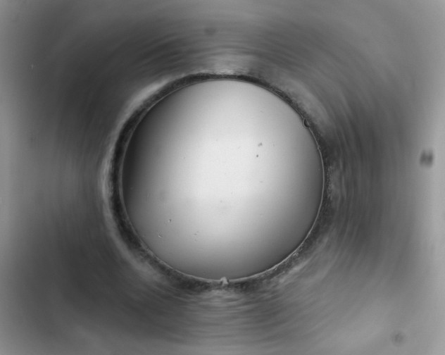 X0000102540536200808221931