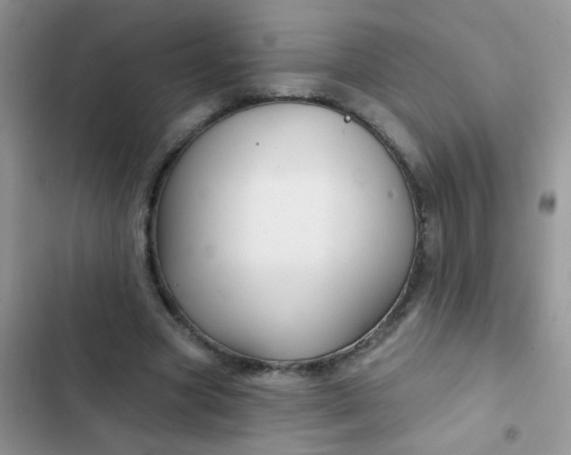 X0000102540537200808221931