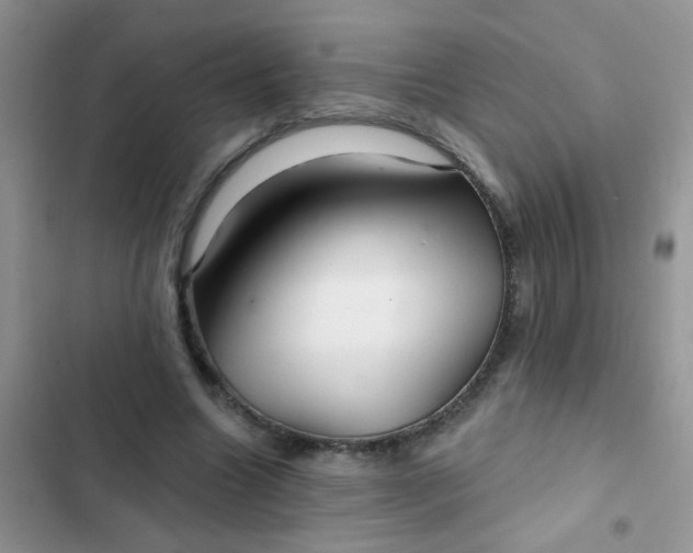 X0000102540538200808221931